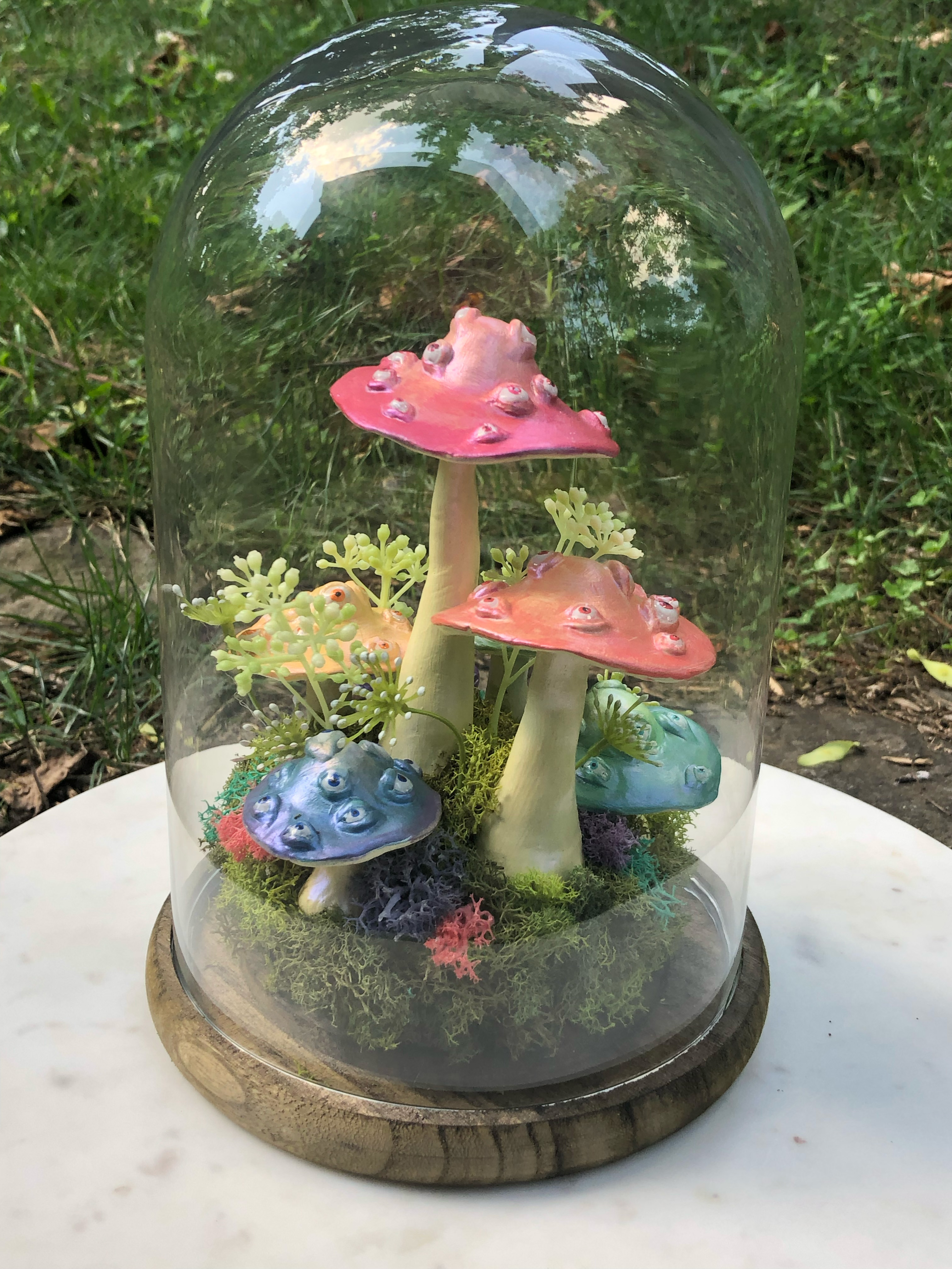 Amanīta Musciris (detail 3)