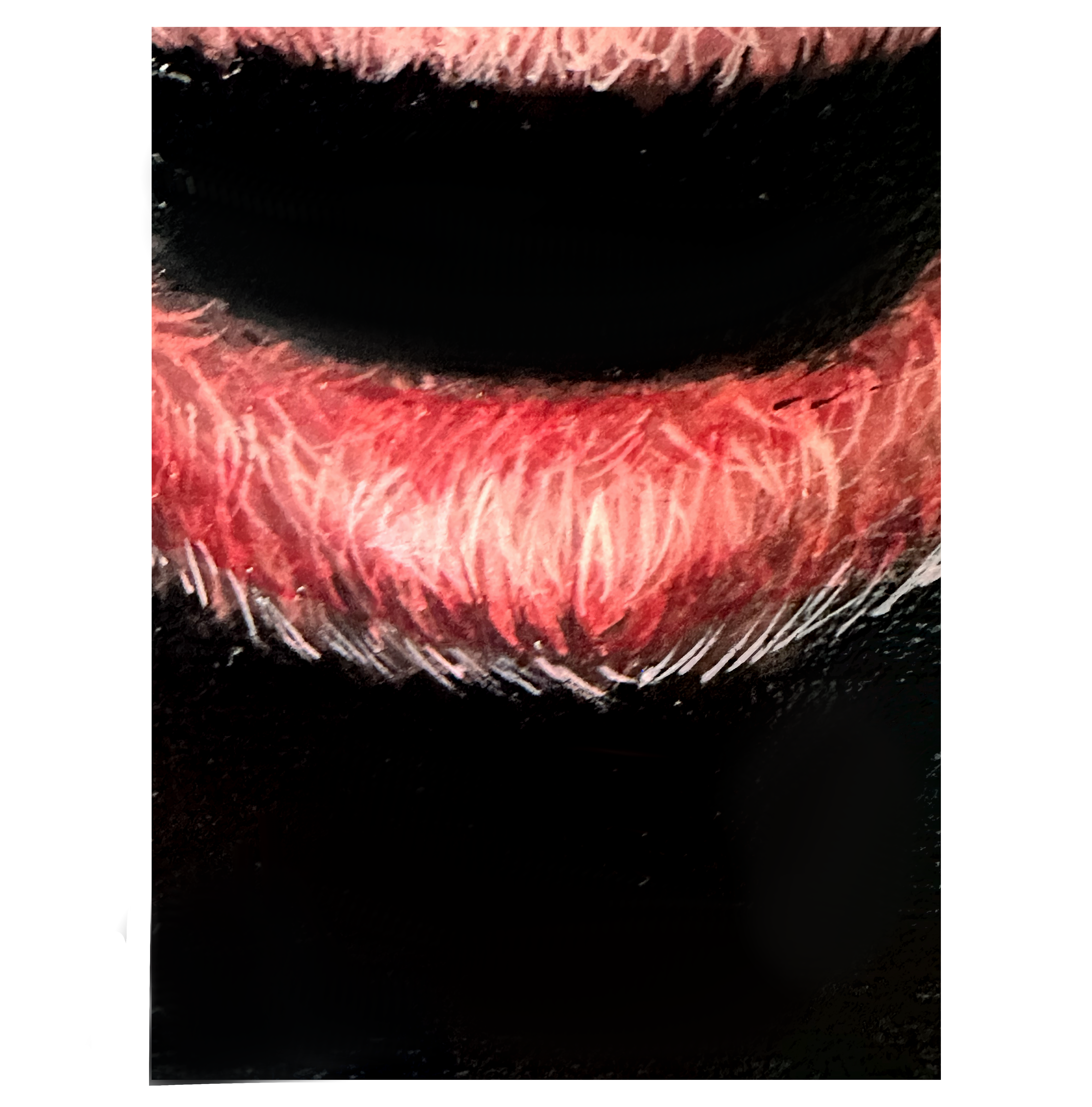 Died Pink (detail 1)